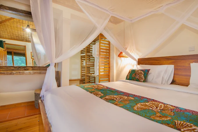 The Amazing Bwindi Lodge in Rushaga Gorilla leisure lodge