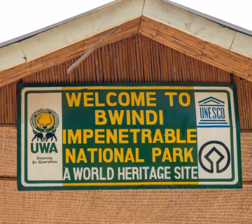 2025 park entrance fees to Bwindi impenetrable national park