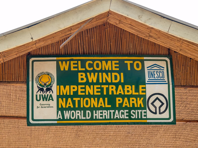 2025 park entrance fees to Bwindi impenetrable national park