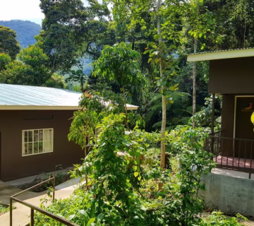 Bwindi Guest House