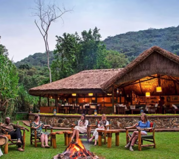 Bwindi Jungle View Lodge
