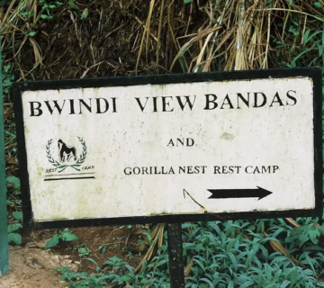 Bwindi View Bandas