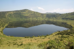 Queen Elizabeth National Park Private Safaris: The Ultimate Queen Elizabeth National Park Private Safaris: The Ultimate