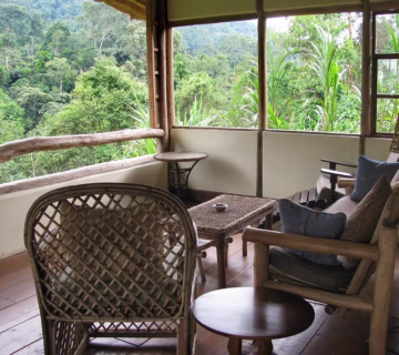 Dorotia Bwindi Eco Tourism Resort