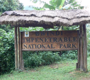 Entrance fees of Bwindi Impenetrable National park 2025