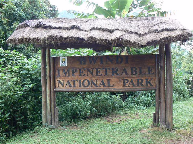 Entrance fees of Bwindi Impenetrable National park 2025