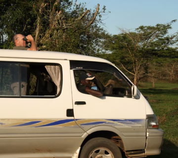 Game drive safari in Uganda