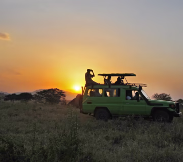 Game drives in Kidepo valley national park