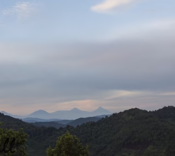 Gorilla Hill Eco Lodge