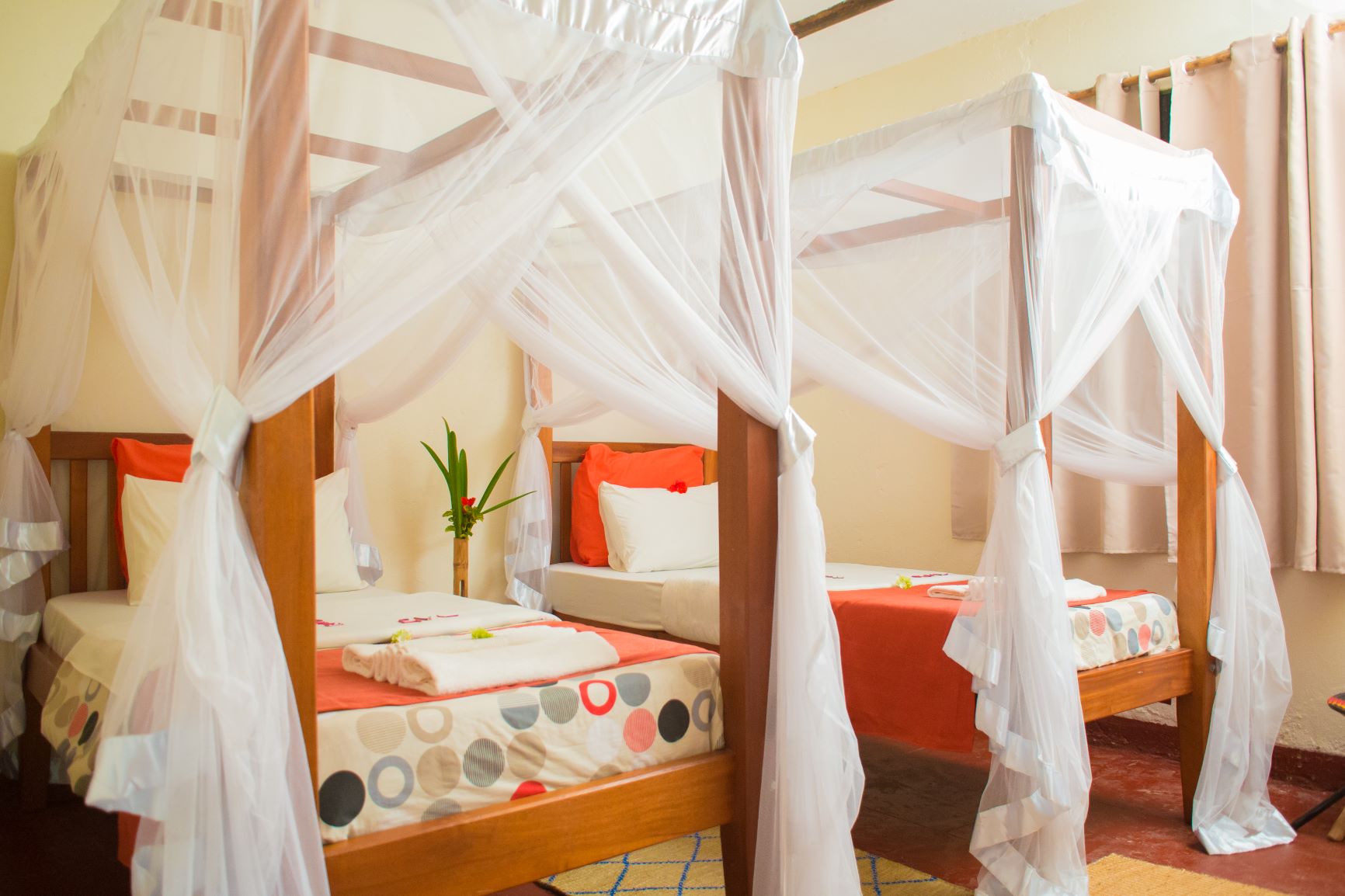 Gorilla Valley Lodge