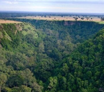 Book Uganda Safari and Gorilla Trekking Combo: