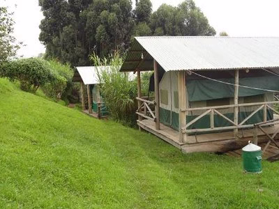 Ruhija Gorilla Friends Resort