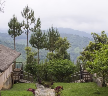Ruhija Gorilla Mist Camp