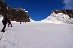 Rwenzori vs Kilimanjaro Trekking: Which African Mountain Rwenzori vs Kilimanjaro Trekking: Which African Mountain