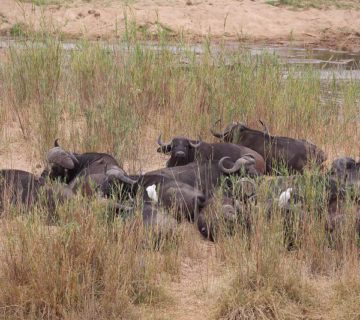 Second Smallest National Park In Uganda
