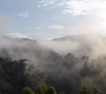 Things to do in Rushaga sector after gorilla trekking