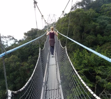 Top Activities in Nyungwe forest national park