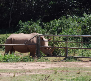 Uganda Wildlife Education Center