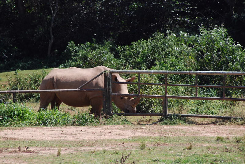 Uganda Wildlife Education Center