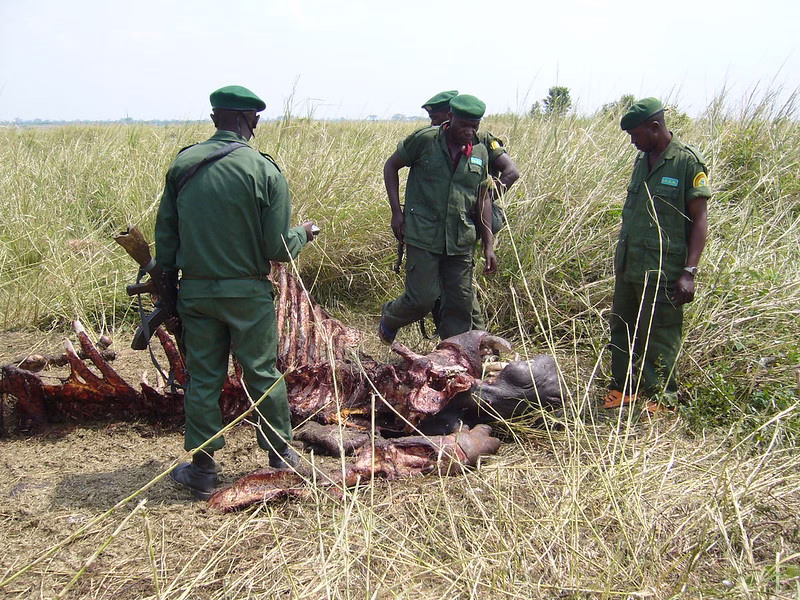 Virunga National Park Ranger Attack