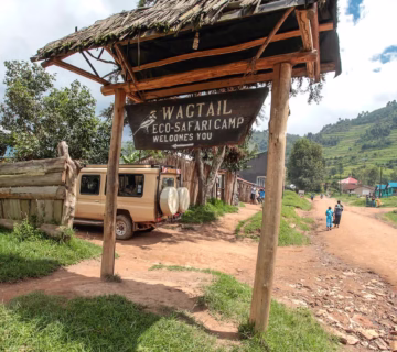 Wag Tail Safari Lodge