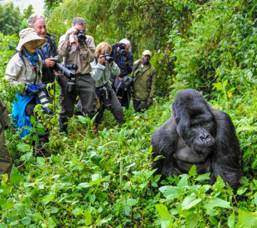 What to Pack for gorilla trekking