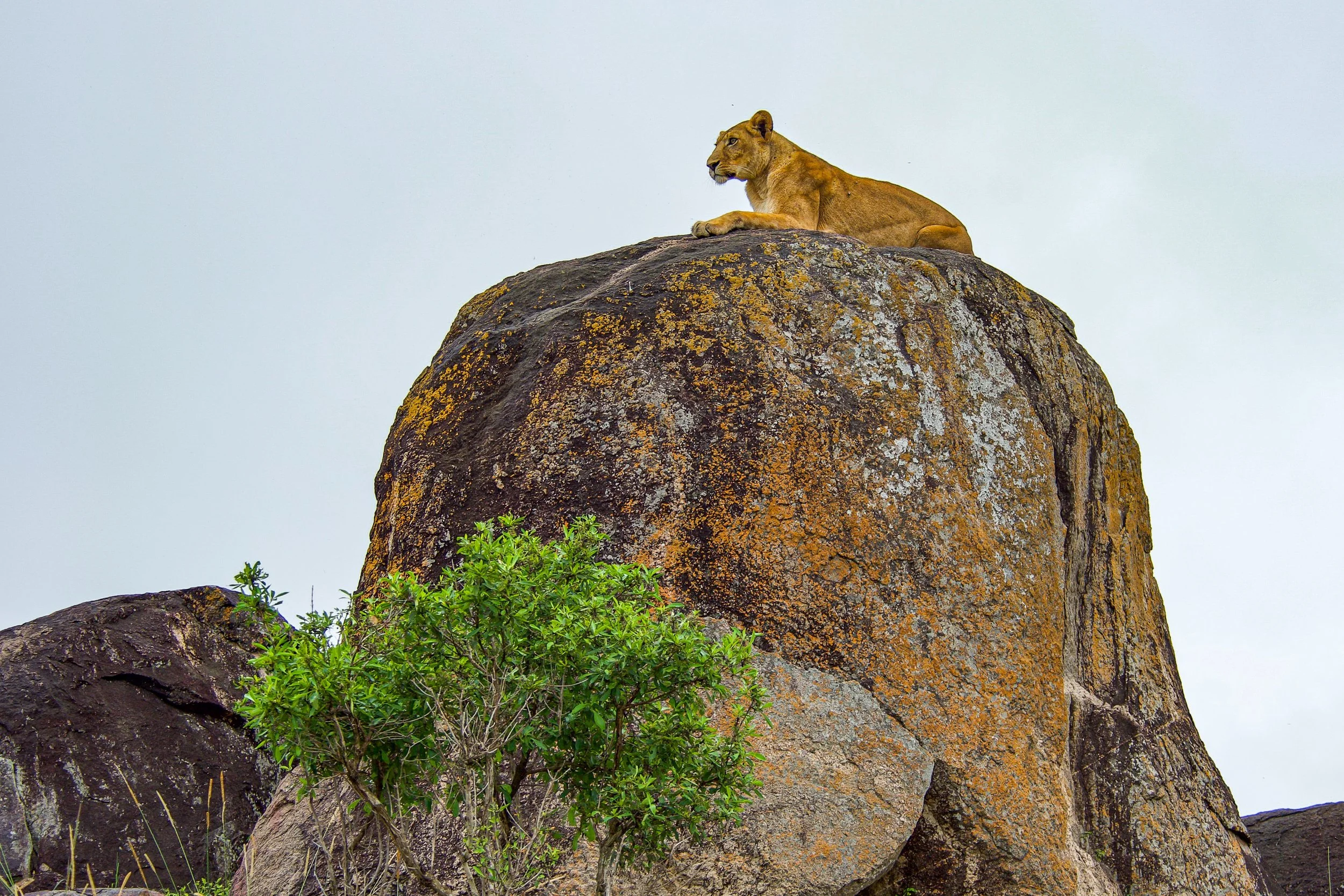 Top activities in Kidepo valley national park Top activities in Kidepo valley national park