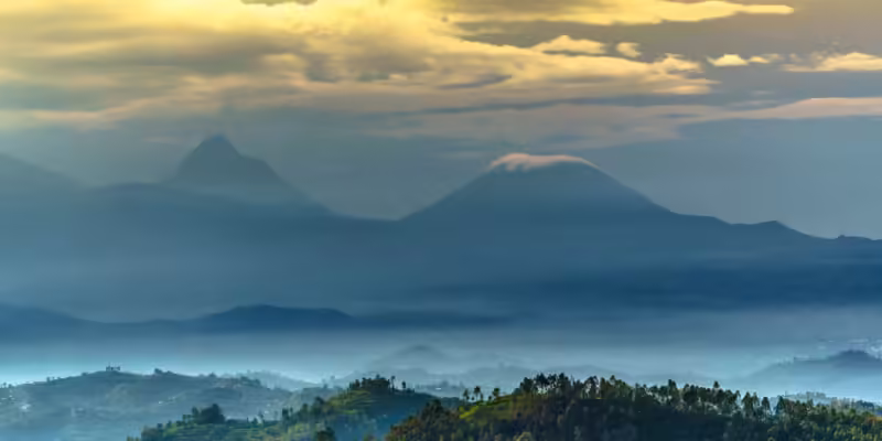 silverback gorilla destination - Virungas