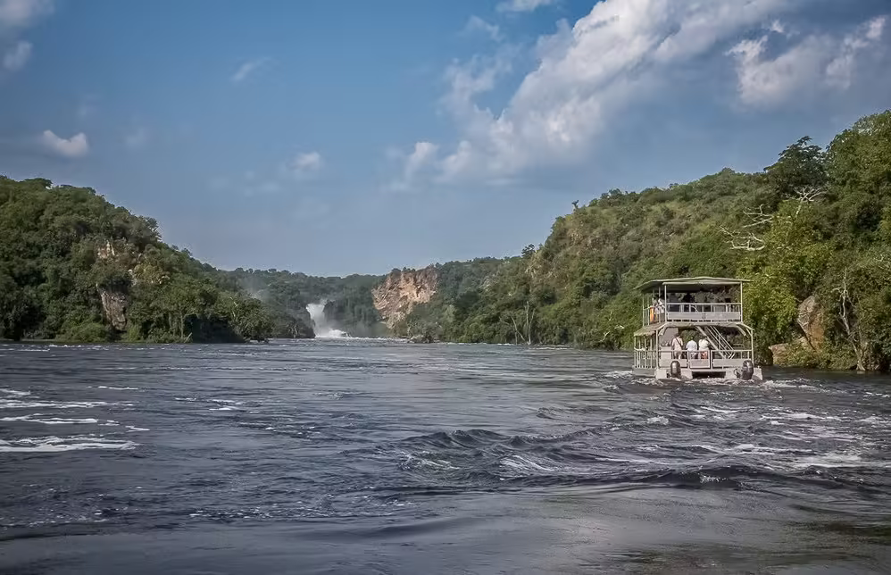 wild adventures murchison