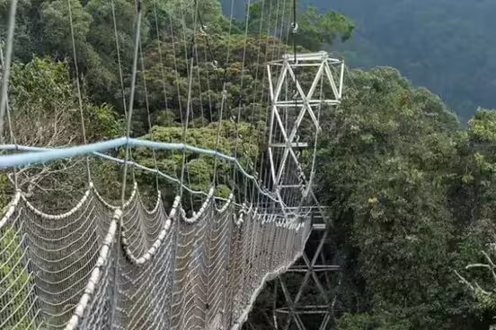 wild adventures rwanda nyungwe majestic Amboseli in Kenya