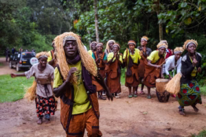 Gorillas Uganda: The Ultimate 2026 Guide to Seeing