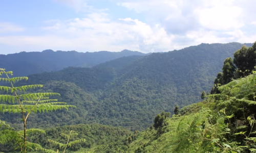 Journey from Kigali to Bwindi