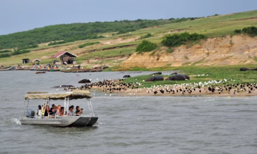 Kazinga Boat Tour3