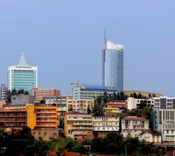 Gorilla Trek from Kigali: The Fastest, Smartest & Most