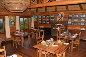 Luxury in the Wild: How Tanzania Redefines High-End Travel