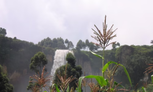 3. Explore Sipi Falls