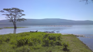 10 Powerful Reasons Why Uganda Is Called the Pearl of Africa 10 Powerful Reasons Why Uganda Is Called the Pearl of Africa