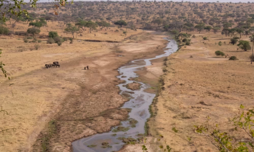 The flow of lake manyara
