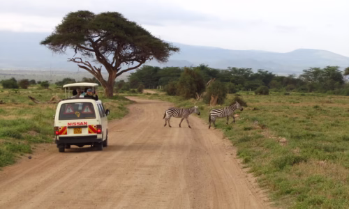 Amboseli4