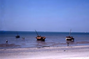 Visiting Lake Tanganyika in Burundi: A Complete Travel Visiting Lake Tanganyika in Burundi: A Complete Travel