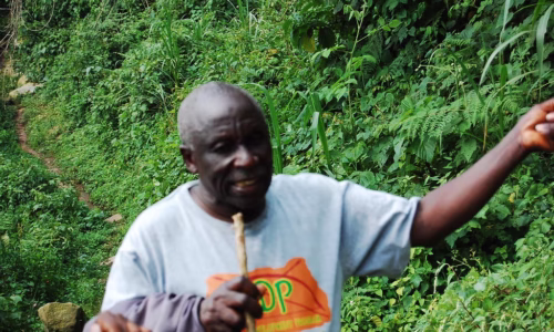 Batwa Cultural Experience.