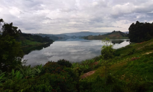 Bunyonyi2_files