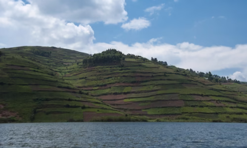 Bunyonyi3