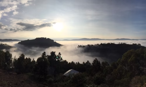 Bwindi Impenetrable National Park