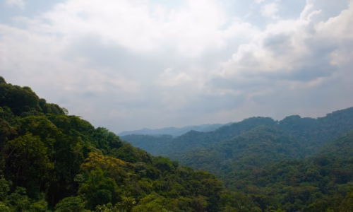 Bwindi Impenetrable National Park