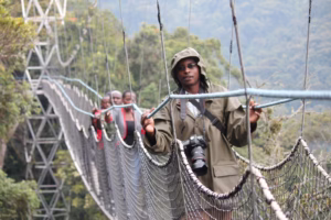 Last Minute Gorilla Permits Rwanda: How to Secure