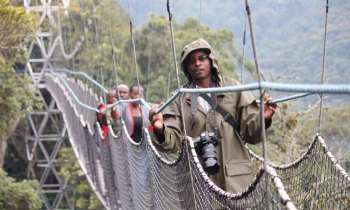 Canopy Walk in Nyungwe