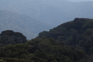 Is It Safe to Travel to Congo DRC? — What You Should Know