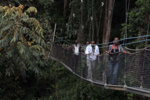 Rwanda Chimpanzee Safari Cost: Complete 2026 Guide Rwanda Chimpanzee Safari Cost: Complete 2026 Guide