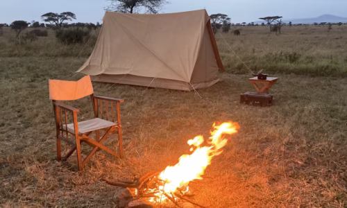 Fire camping at serengeti_files